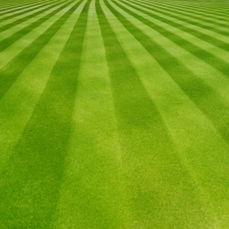 Lawn Care
