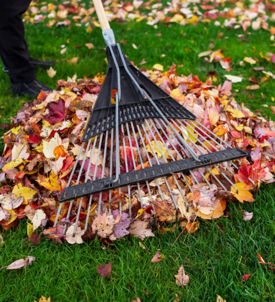 Seasonal Cleanup Services
