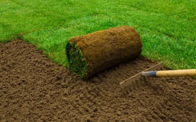 The Instant Transformation: Professional Sod Installation for a Lush Lawn
