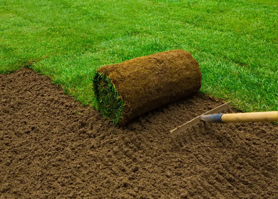 The Instant Transformation: Professional Sod Installation for a Lush Lawn
