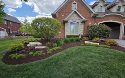 Seasonal Success: The Value of Professional Landscape Maintenance